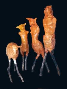 Familia borrega.